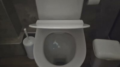 KR toilet opera