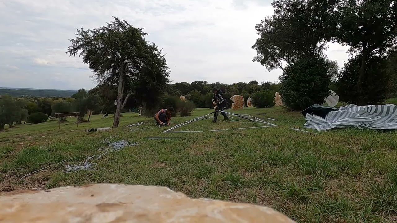 Trimming the Ancients